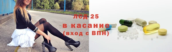 индика Рославль
