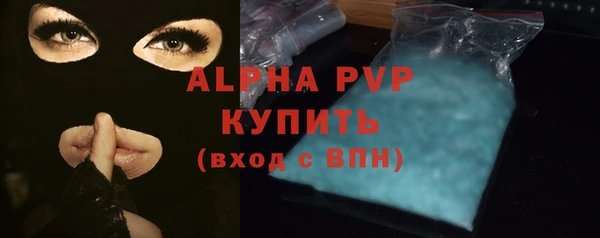 индика Рославль