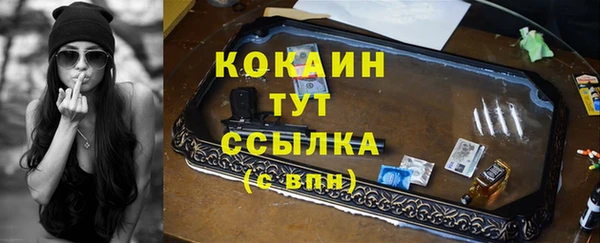гидра Гатчина